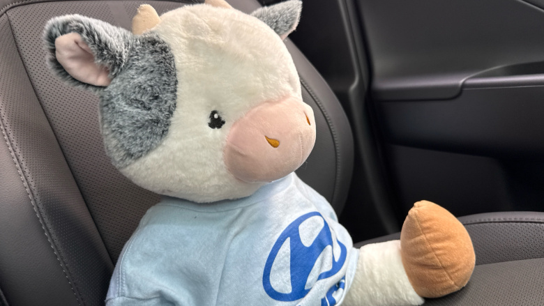 Hyundai KONA 1.0T Ultimate 5dr Petrol Hatchback